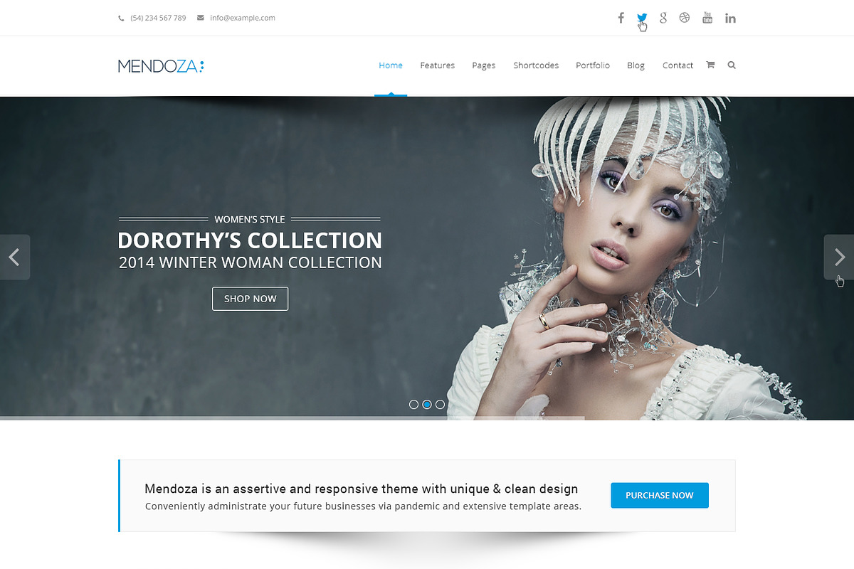Mendoza - Multipurpose HTML Template, a HTML Template by TemPlaza (Photo 2 of 5)