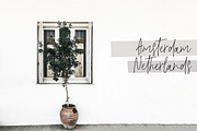 L'aster Font, a Script Font by Calamar Studio (Thumbnail 11 of 14)