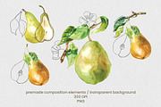 Pear Wine - Fruit Watercolor Clipart, a Decorative Illustration by foxsong (Thumbnail 9 of 16)
