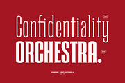 Roadhawk - Condensed Semi Serif, a Serif Font by Hindia Studio (Thumbnail 6 of 11)