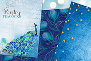 Paisley Peacocks Pack, an Illustration by Dana Designs (Thumbnail 2 of 5)