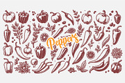 Hand Drawn Peppers and Herbs Coll, a Food Illustration by MkStudio (Thumbnail 2 of 3)