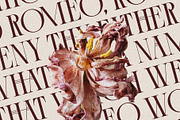 Cosmic Solace - Ligature Typeface, a Serif Font by SilverStag Type Foundry (Thumbnail 8 of 30)