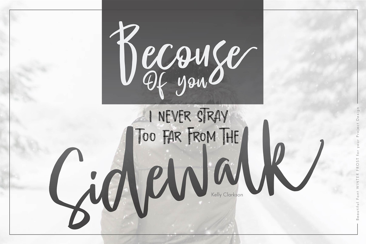 WINTER FROST Script + SVG + Bonus preview 2