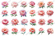 Watercolor Blush Peonies Flowers, an Illustration by designcity5 (Thumbnail 2 of 5)