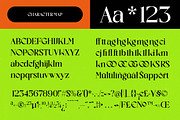Excite Brands Modern Editorial Serif, a Serif Font by timelesstype.co (Thumbnail 6 of 10)