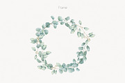 Eucalyptus Line Art And Watercolor, a Decorative Illustration by ElenaPlatovaArt (Thumbnail 5 of 10)