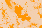FLORAL Cyanotype, a Texture Graphic by nkate (Thumbnail 2 of 10)