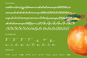 Hulatin Modern Brush Script, a Script Font by stylishtype.co (Thumbnail 19 of 20)