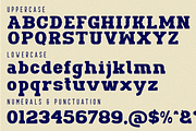 PARADISE | Bold Slab Serif Font, a Slab Serif Font by 177Studio (Thumbnail 9 of 9)
