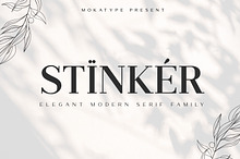 Stinker - Modern Serif Family