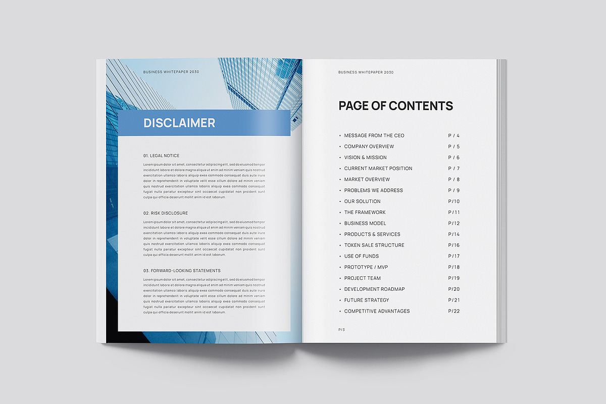 White Paper Template, a Brochure Template by Designsoul14 (Photo 5 of 12)