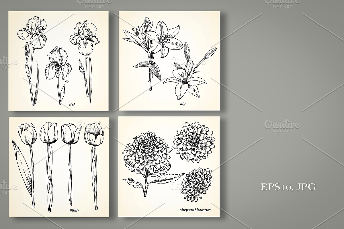 Set of Flowers, an Illustration by Victoria_Novak (Photo 4 of 5)