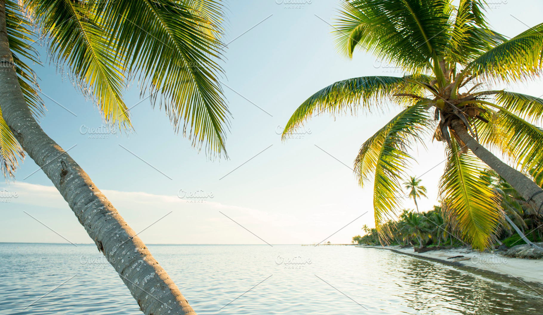 Caribbean Beach Belize, a Nature Photo by THP Creative