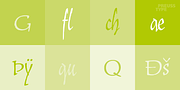 Floridana, a Script Font by preussTYPE (Thumbnail 8 of 8)