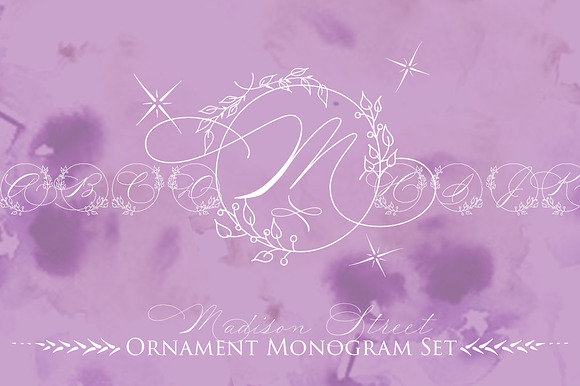 Madison Street Ornaments preview 5