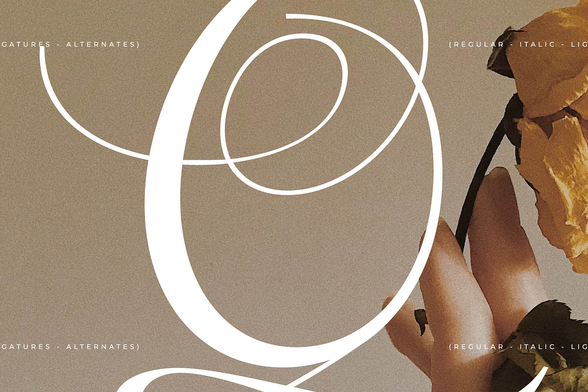 Menasha Brown New Hybrid Typeface, a Serif Font by Storytype Studio (Photo 7 of 15)