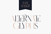 SALE! Type Master - serif font, a Serif Font by VP Fonts (Thumbnail 16 of 24)