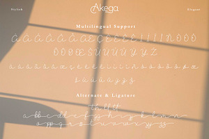 Akega Font Duo