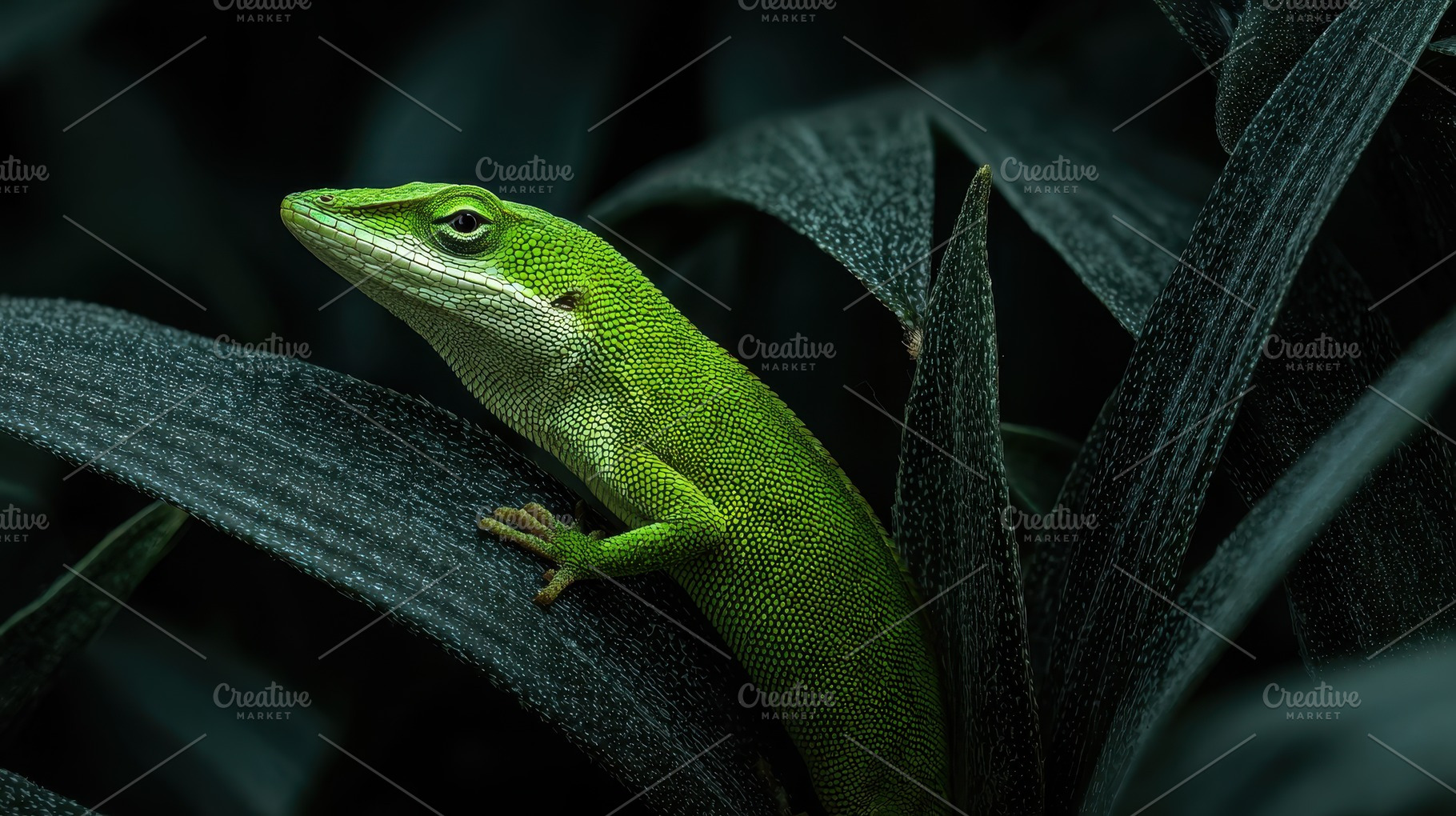 Green lizard on dark green leaves vi, a Photo by Pixeness Studio