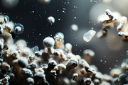 52 Fictional Microscopic Organisms, an Abstract Photo by h.utomo (Thumbnail 38 of 52)