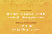 Wild Yarrow | A handwriting font, a Font by Jelligun (Thumbnail 2 of 8)