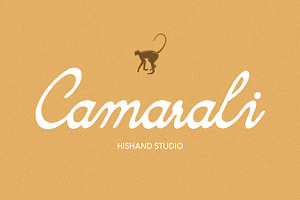 Camarali Script Font