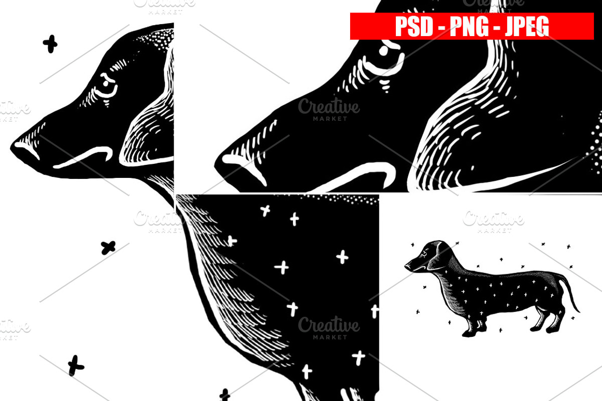 Dogs Collection Black and White Art, an Animal Illustration by Design by sebrodbrick (Photo 11 of 22)