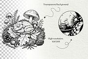 Woodland Frog Engraving Bundle, an Animal Illustration by DENIDigitalArtSudio (Thumbnail 7 of 7)
