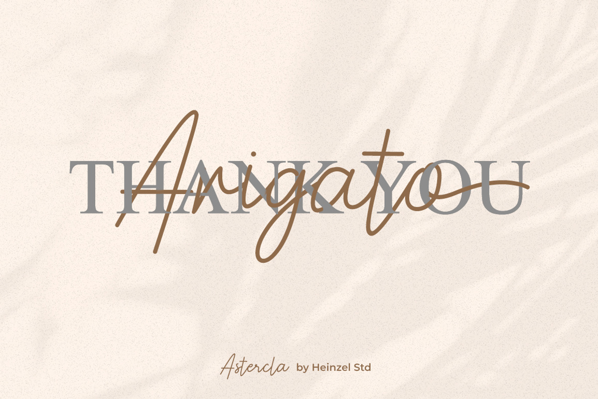 Astercla Modern Script Font, a Handwritten Font by Heinzel Std (Photo 9 of 9)