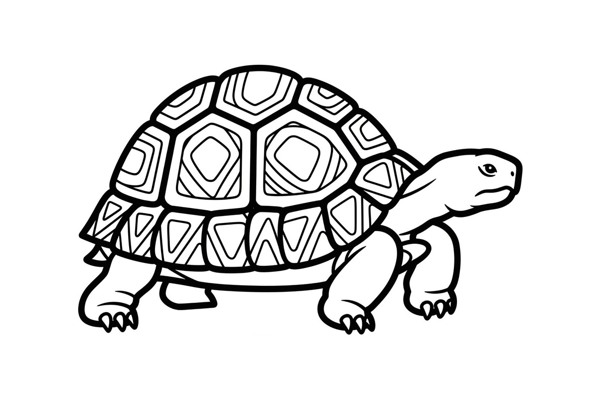 Turtle Line Art Illustration Bundle, an Illustration by Creativeshirt (Photo 38 of 48)