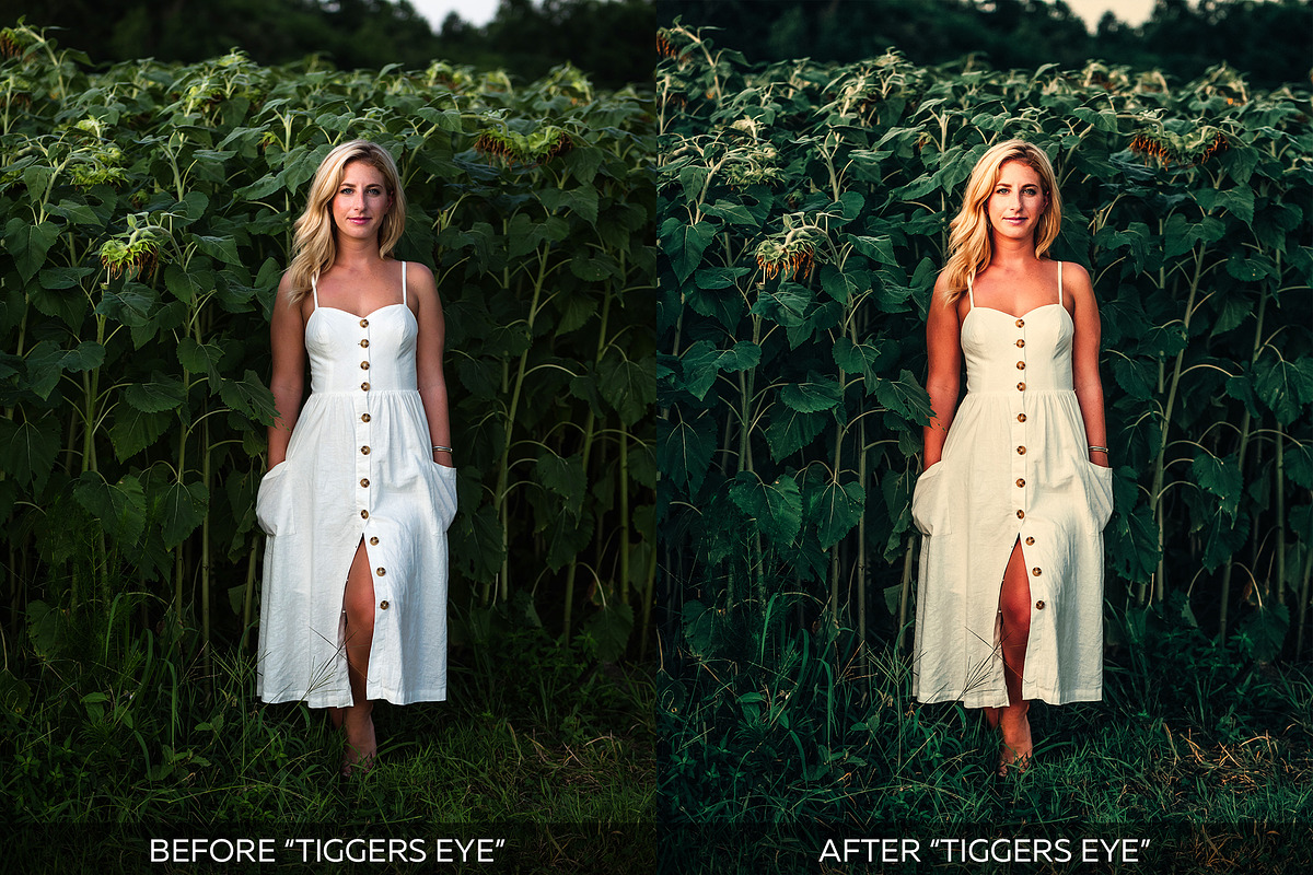 Vibrant Lightroom Presets, an Action Add-On by Willa (Photo 24 of 35)