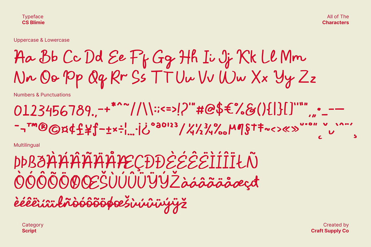 CS Blimie – Handwritten Script Font, a Script Font by Craft Supply Co. (Photo 8 of 8)