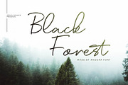 Angora, a Script Font by Omotu Studio (Thumbnail 9 of 12)