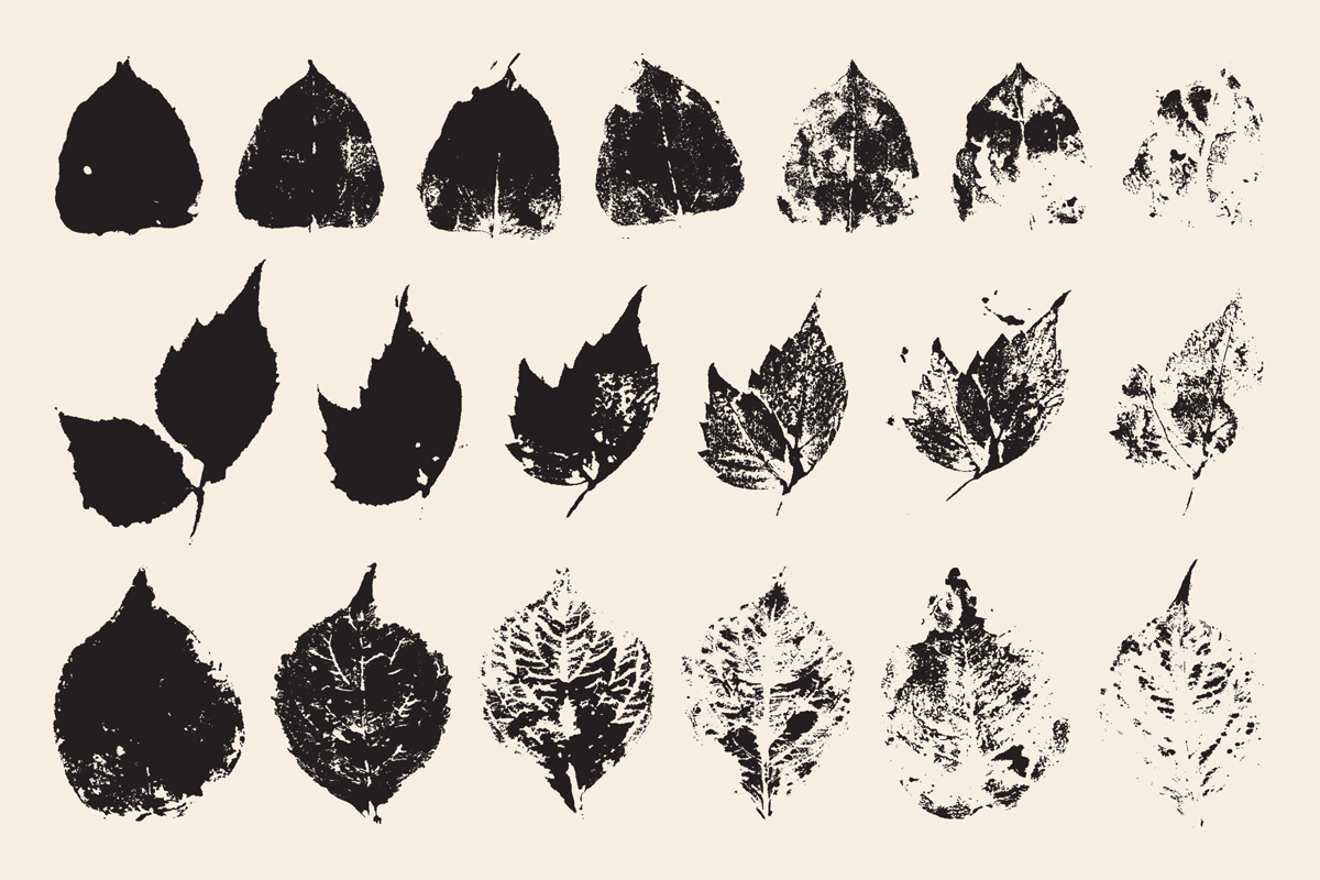 Stamped Prints of Leaves & Flowers, an Object Graphic by Yasir Ekinci (Photo 5 of 14)