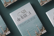 SLTF Rogue Rebellion - Ligature Font, a Serif Font by SilverStag Type Foundry (Thumbnail 29 of 30)