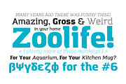 Amazing Grotesk - 9 fonts, a Slab Serif Font by Zetafonts (Thumbnail 2 of 7)