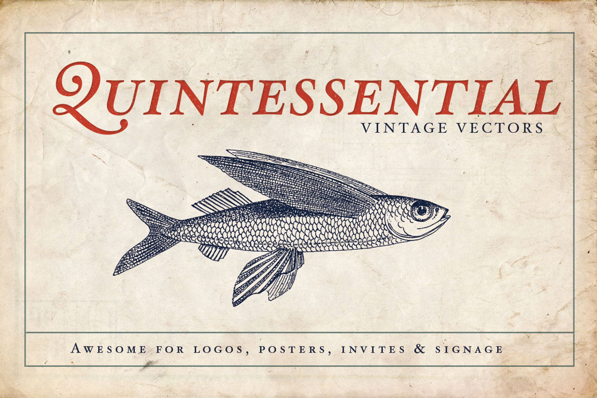 Zoology Animal Illustrations, an Animal Illustration by BlackBird Foundry (Photo 3 of 3)