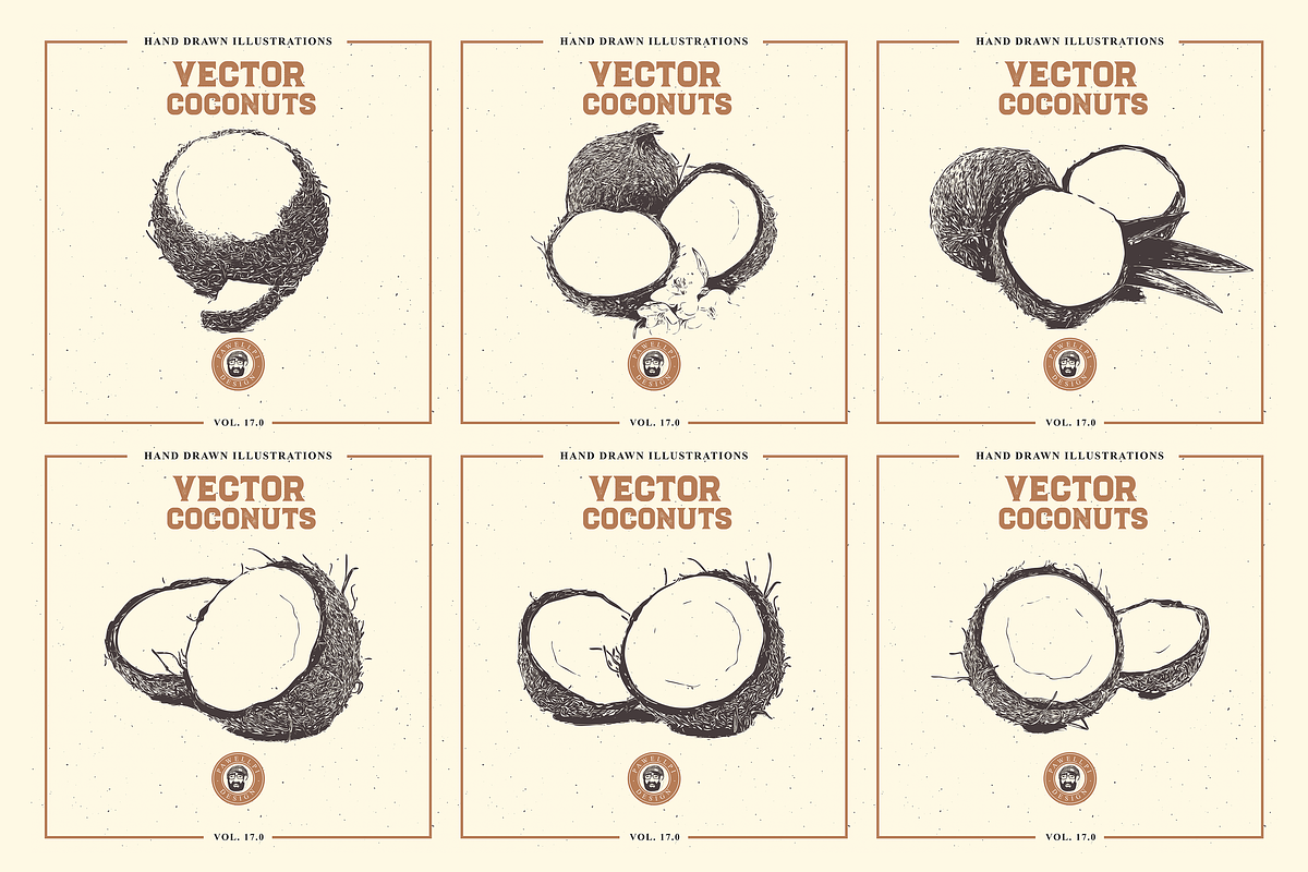 VECTOR COCONUTS HAND DRAWN BUNDLE, a Food Illustration by pawellpi (Photo 2 of 6)