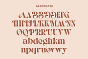 Monea - Serif Display Font, a Serif Font by Luna Shop (Thumbnail 7 of 12)