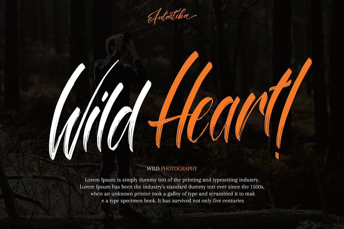 Antartika Font Duo preview 3