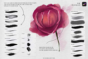 Watercolor brushes for Procreate, a Brush Add-On by Spark Studio Brushes (Thumbnail 2 of 11)