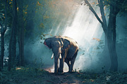 The Digital Art Collection, an Action Add-On by Dene Studios (Thumbnail 20 of 34)