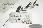 Succulent Blooms Watercolor Images, a Texture Illustration by Fire Spark Studio (Thumbnail 9 of 9)