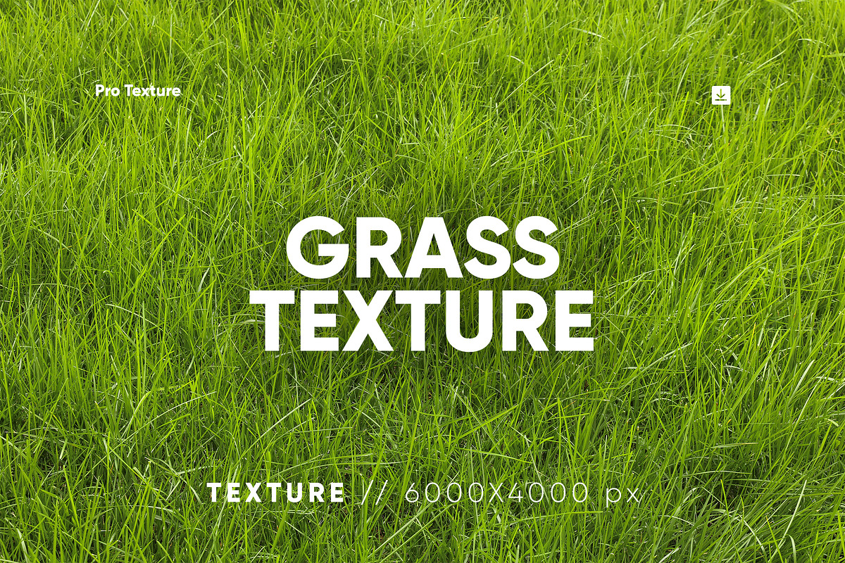 30 Grass Texture HQ, a Texture Graphic by CCPreset (Photo 1 of 2)