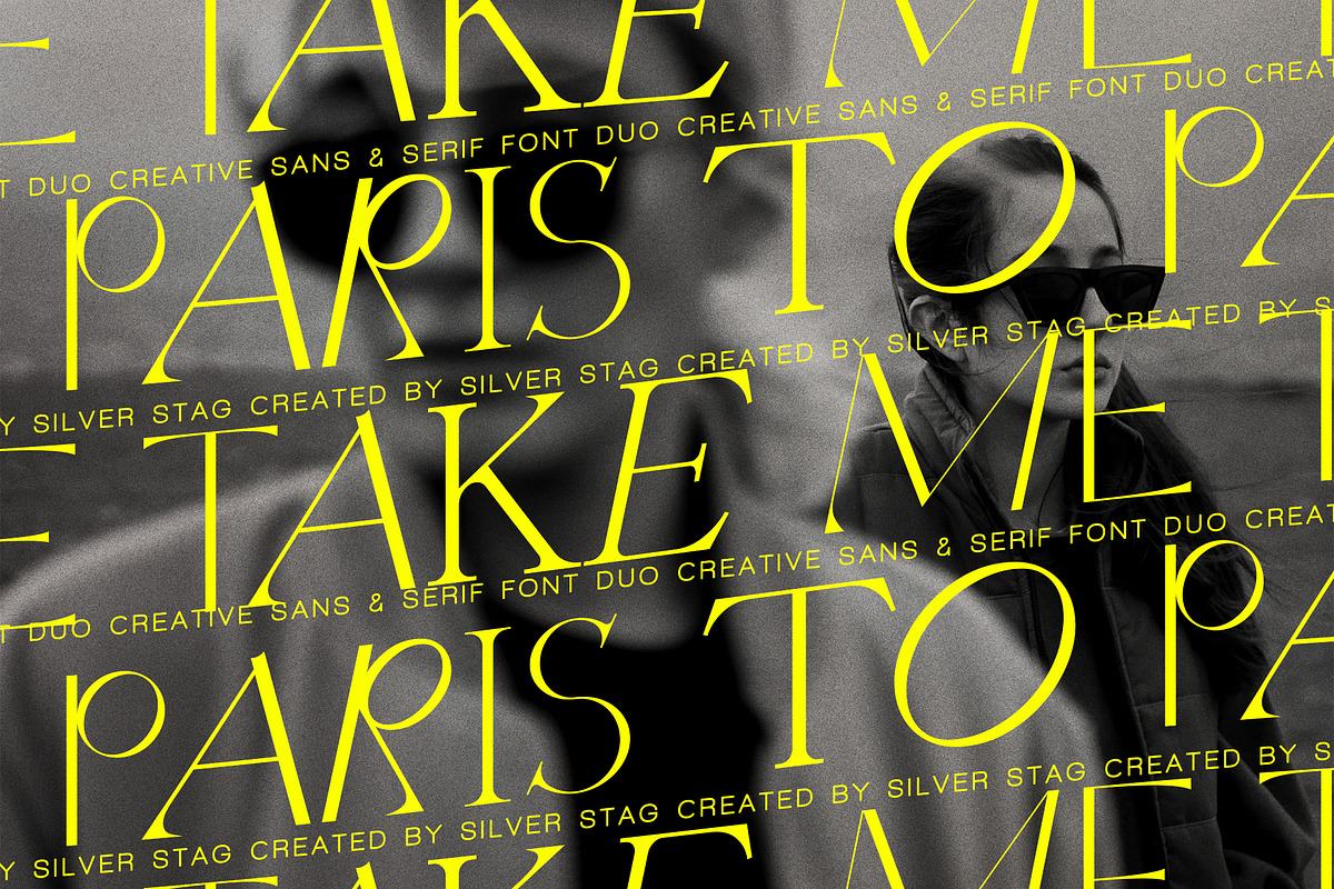Quarx - Sans & Serif Modern Font Duo, a Sans Serif Font by SilverStag Type Foundry (Photo 11 of 18)