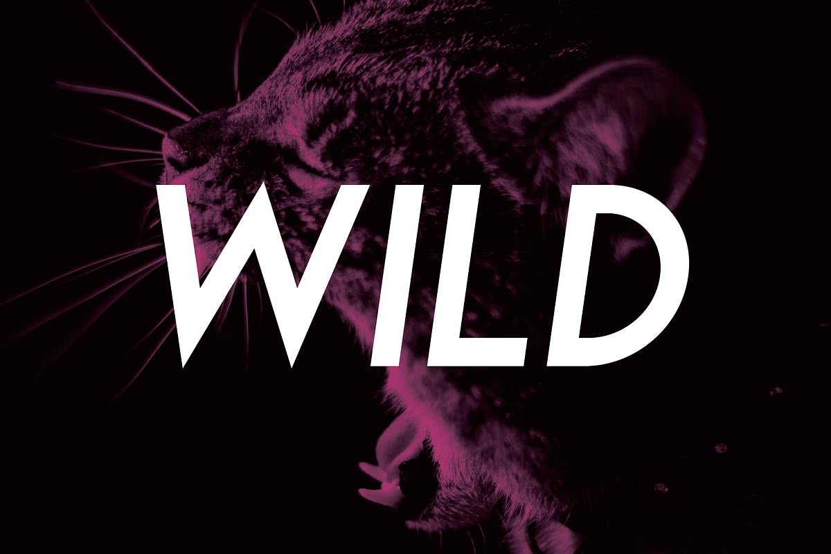 Leaner — SansSerif Font for Logo preview 2