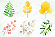 Watercolor Leaves Clipart Set, an Illustration by Creative Art (Thumbnail 6 of 10)
