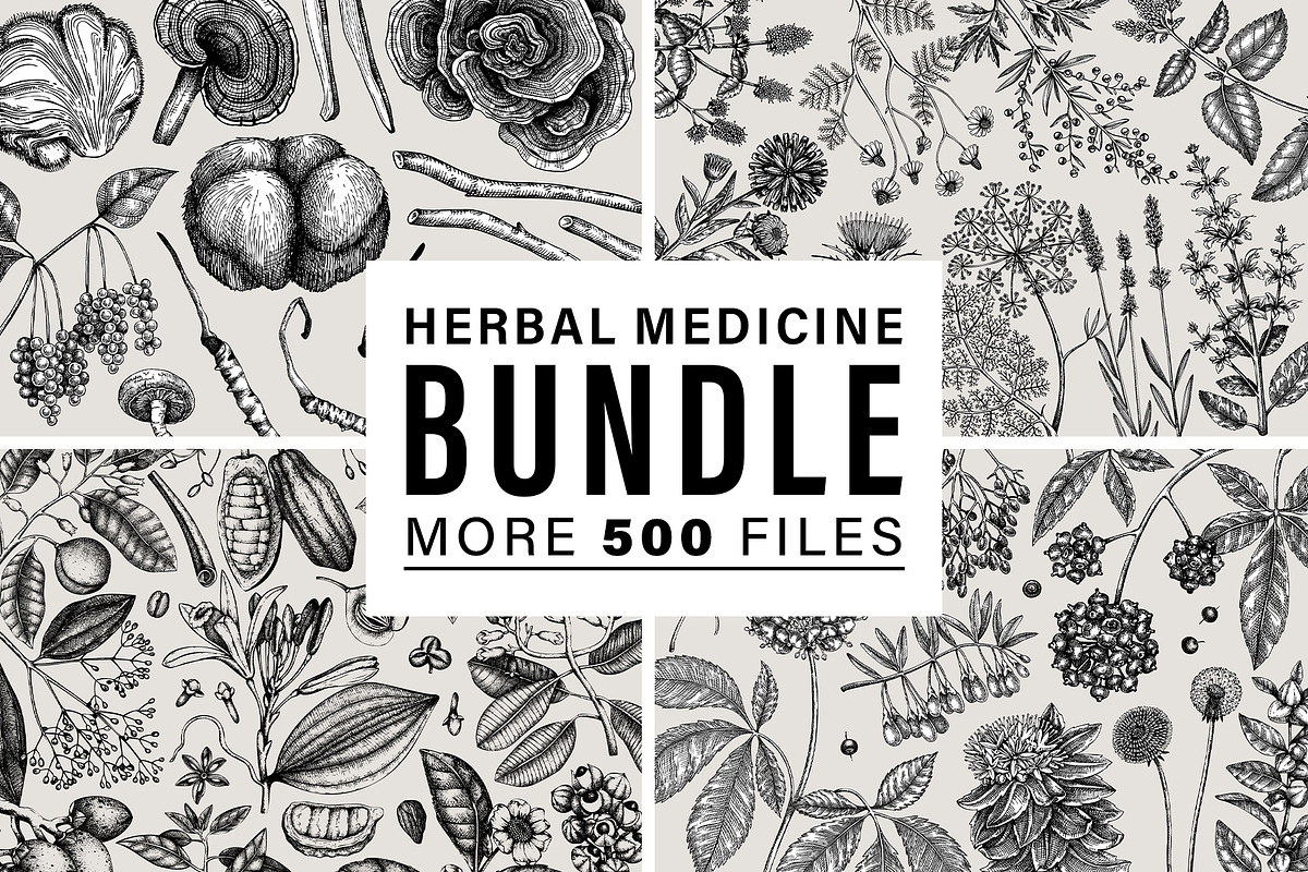 BUNDLE - Herbal Medicine Vectors, a Healthcare Illustration by Yevheniia (Photo 1 of 5)