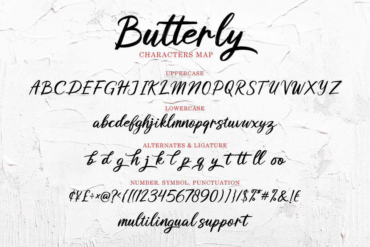 Butterly brush pen font, a Script Font by great19 (Photo 10 of 10)
